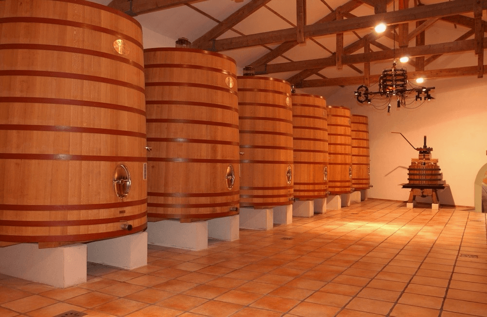 Conseils et expertise